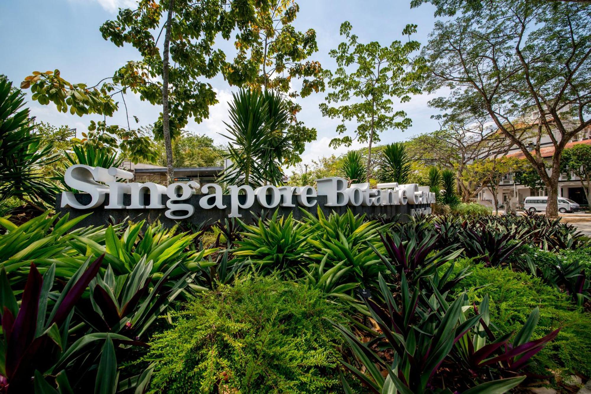 Voco Orchard Singapore By Ihg Extérieur photo Singapore Botanic Gardens